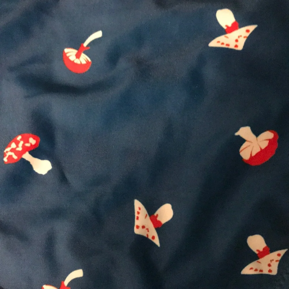 New Cider Mushroom Print Bikini Two Piece Swimsuit Blue S Top M Bottom